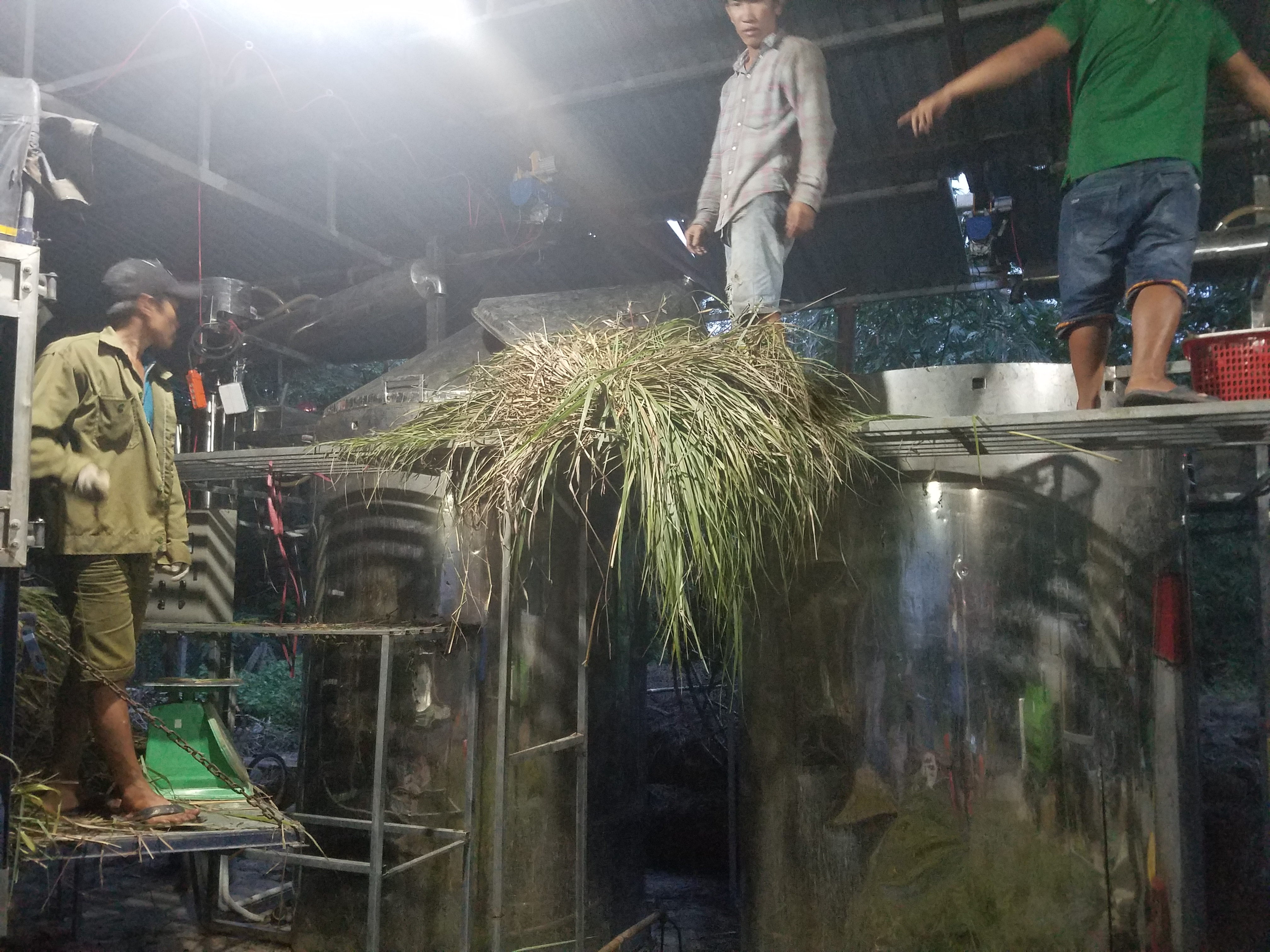 Tinh dầu Sả Chanh nguyên chất Mộc Mây - Xuất khẩu Châu Âu, xông phòng, khử mùi, thơm phòng, đuổi muỗi, thư giản