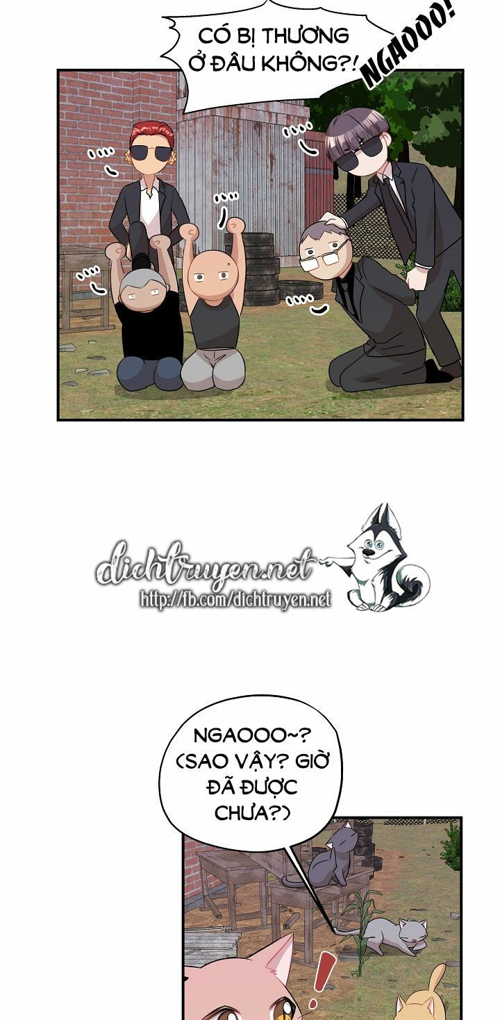 cuộc sống kỳ thú chapter 26 45