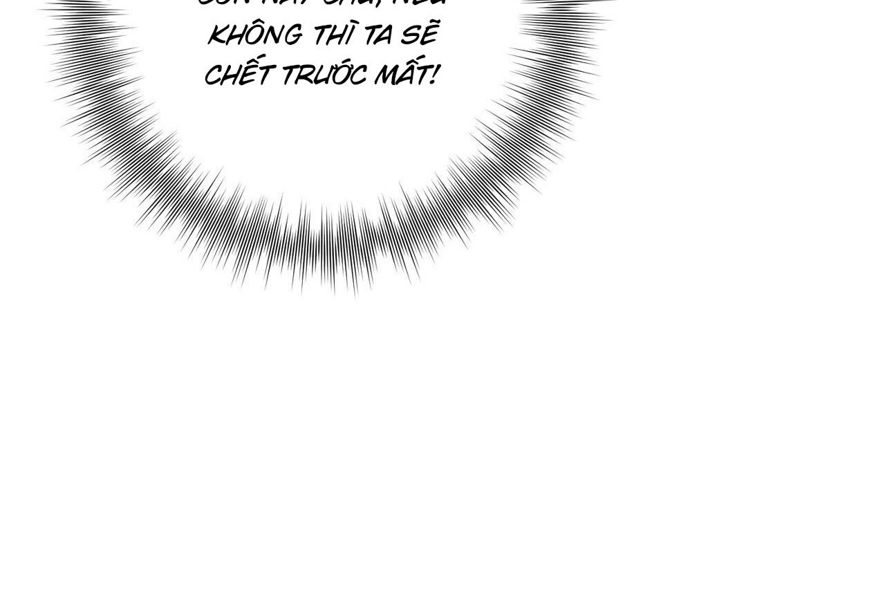 chàng dâu nhà họ kang chapter 46 69