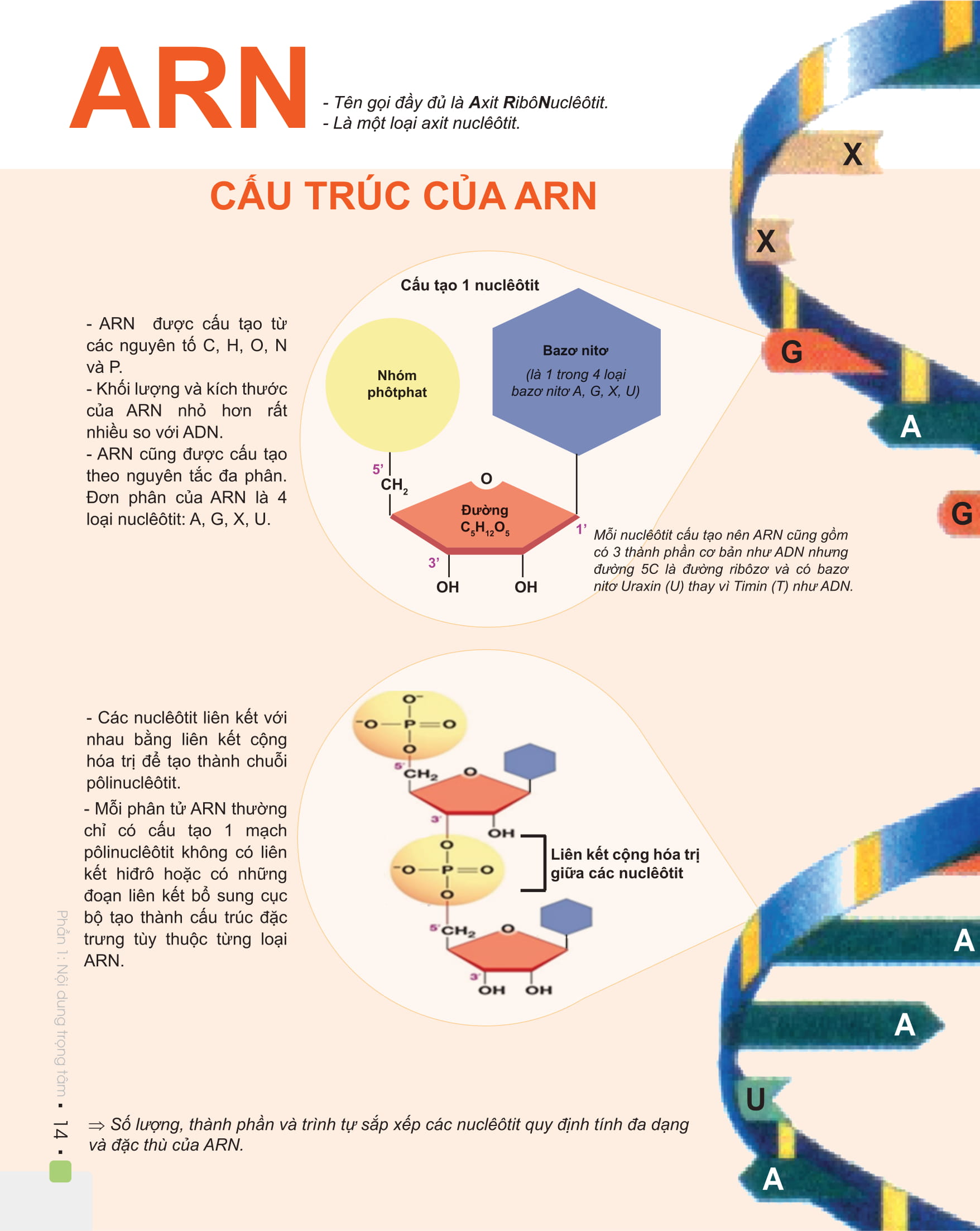 Combo Đột phá 8+ Môn Toán tập 1, Sinh học (Phiên bản 2020)