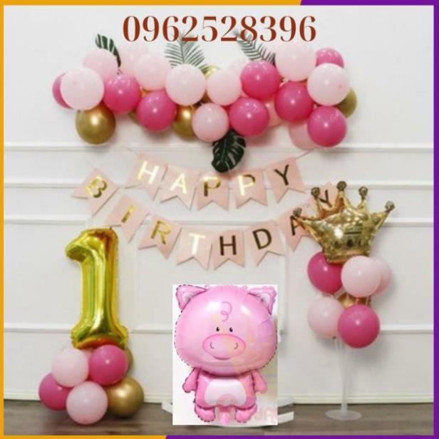 Set bóng số tuổi️trụ bóng️vương miện trang trí sinh nhật️ thôi nôi bé tuổi heo