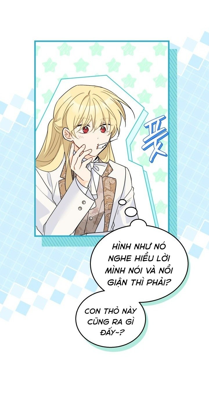 mối liên kết giữa báo đen và bé thỏ chapter 168 32