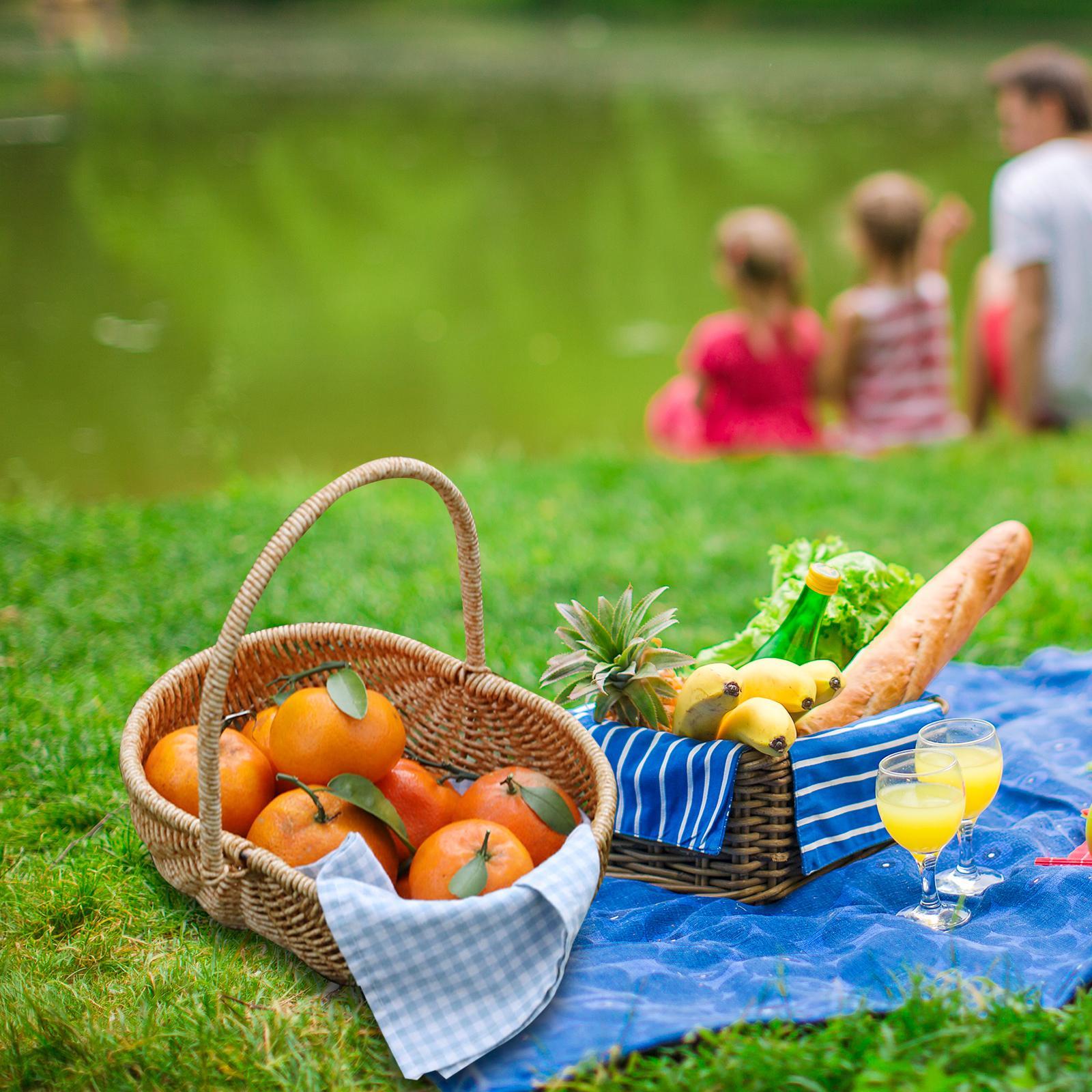 Flower Baskets Portable Storage Bin Eggs Candy Basket Large Storage Basket