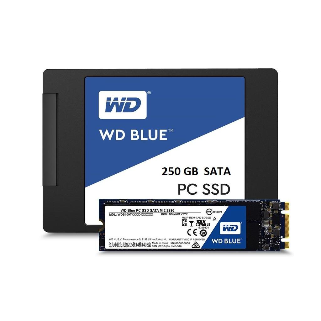 Ổ cứng SSD Blue 250 GB SATA 2.5, Bh 5 năm