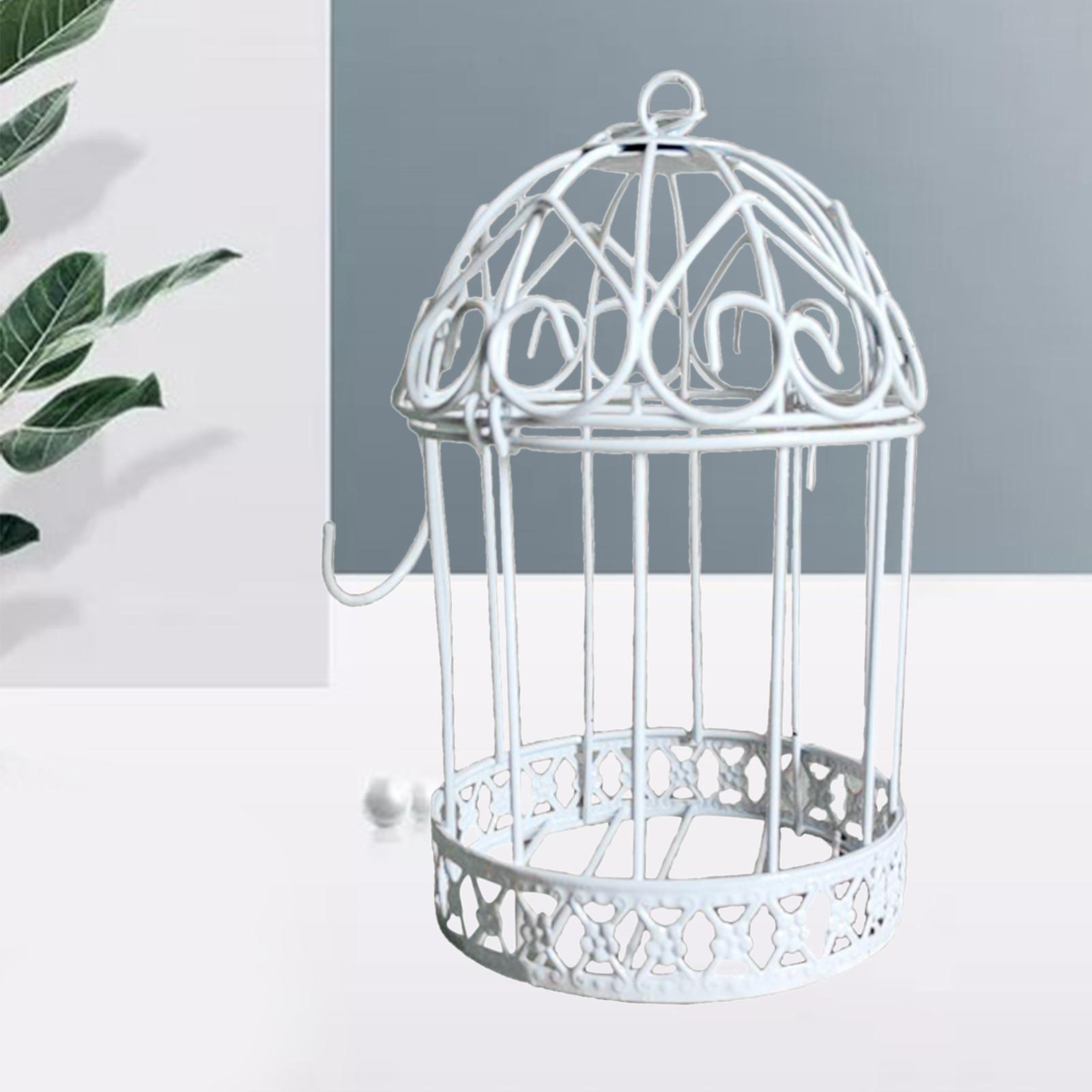 2Pcs Iron Birdcage Frame Wire Succulent Pot Metal Planter Iron Plant Basket