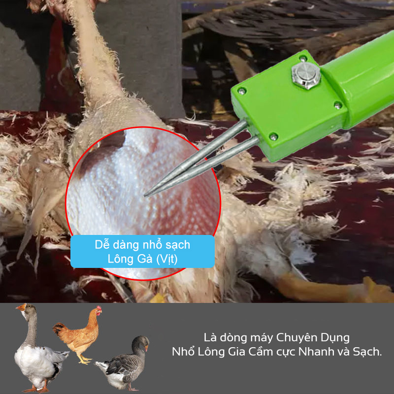 Máy vặt lông vịt lông gà nhanh chóng tiện lợi AGD-1