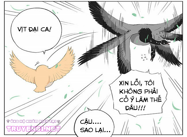 sẻ chiếu mới và nhạn phong sương chapter 7 13