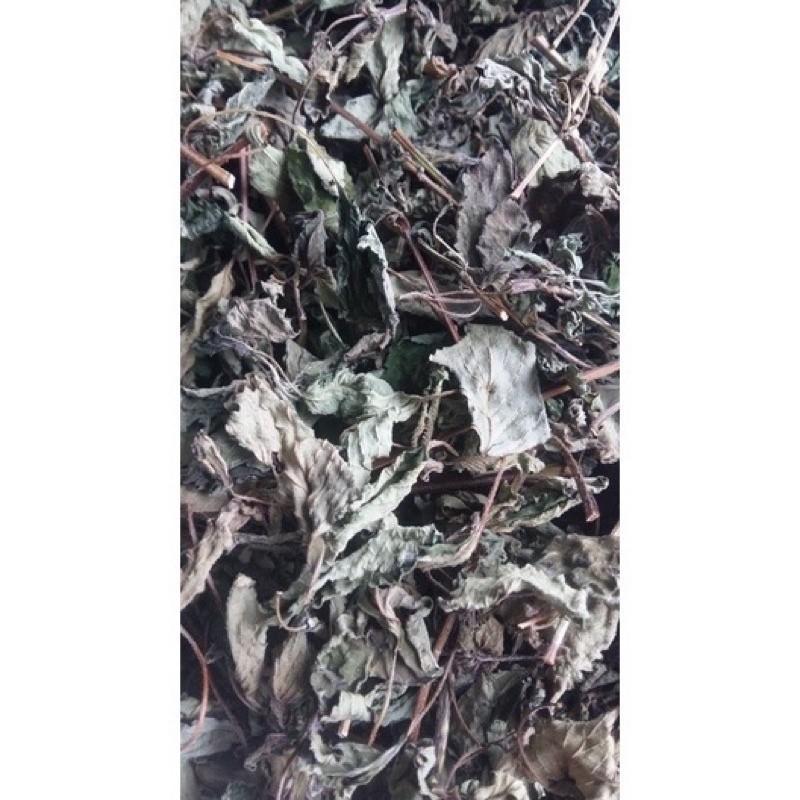 cây tía tô phơi khô túi 1 kg