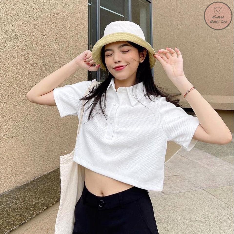 Áo Polo Trơn Croptop Basic Chất Liệu Tổ Ong Độc Đáo Kiểu Dáng Freesize Thời Trang Nữ