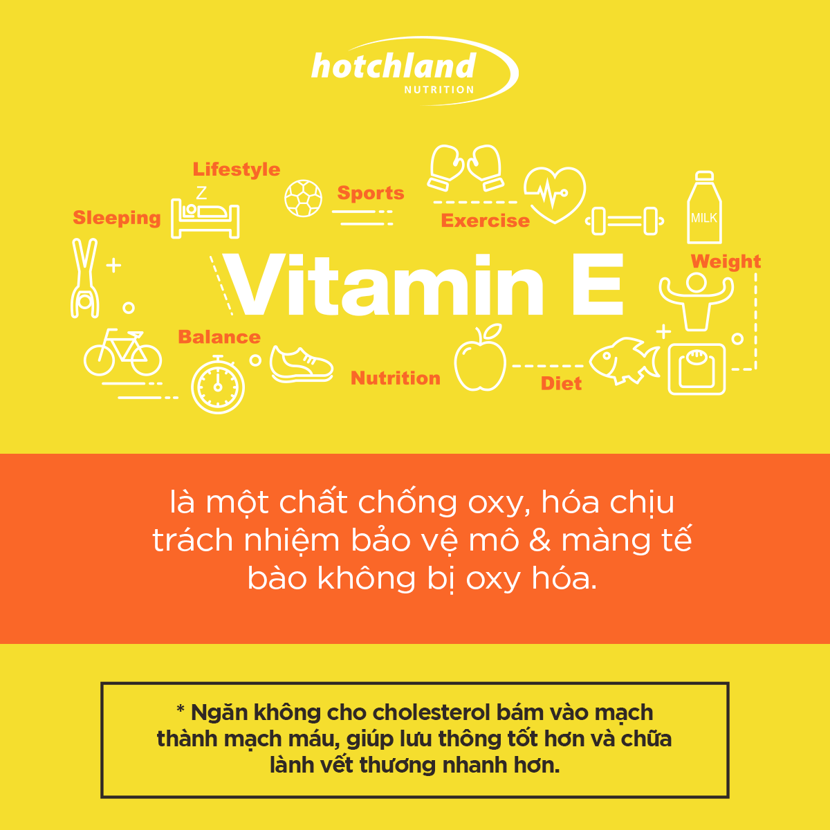 Viên uống bổ sung vitamin E giúp da, tóc đẹp Optimum Vitamin E chính hãng [Hộp 60 Viên]-HL3692