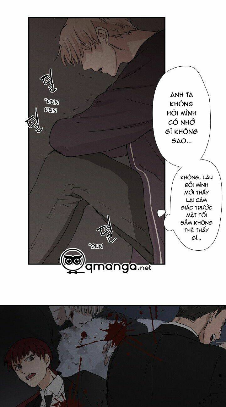 trốn tìm chapter 7 17