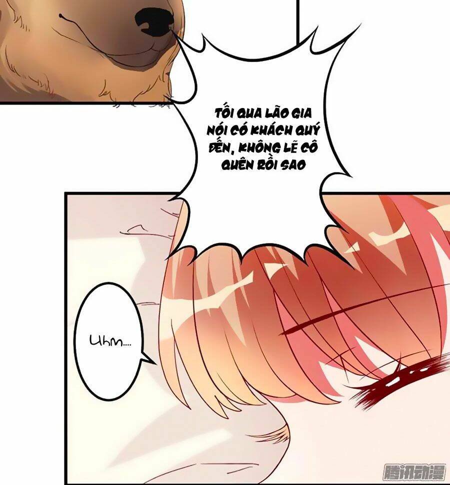 gối đầu vào tổng tài ác ma chapter 11 34