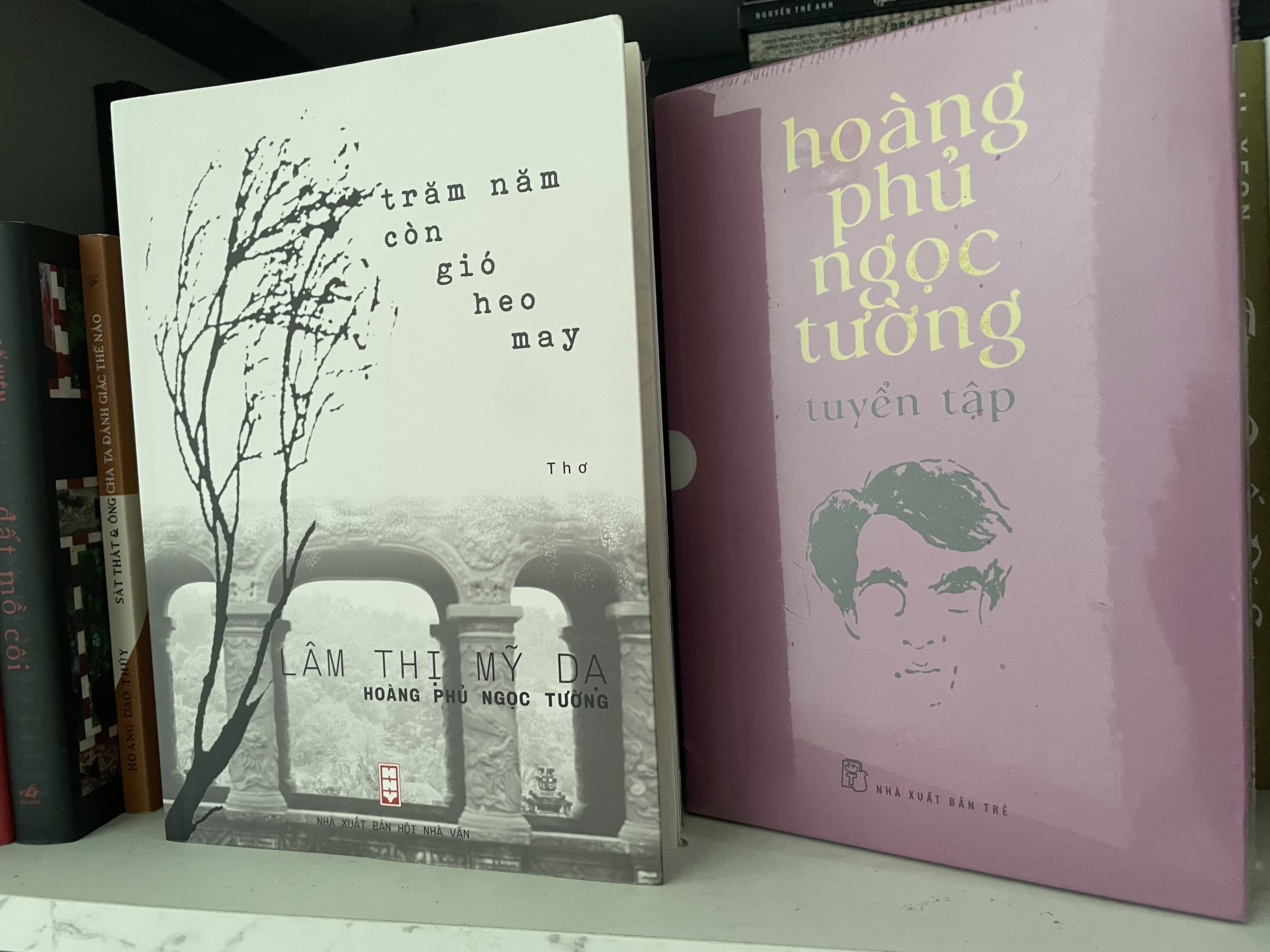 Tuyển tập Hoàng Phủ Ngọc Tường