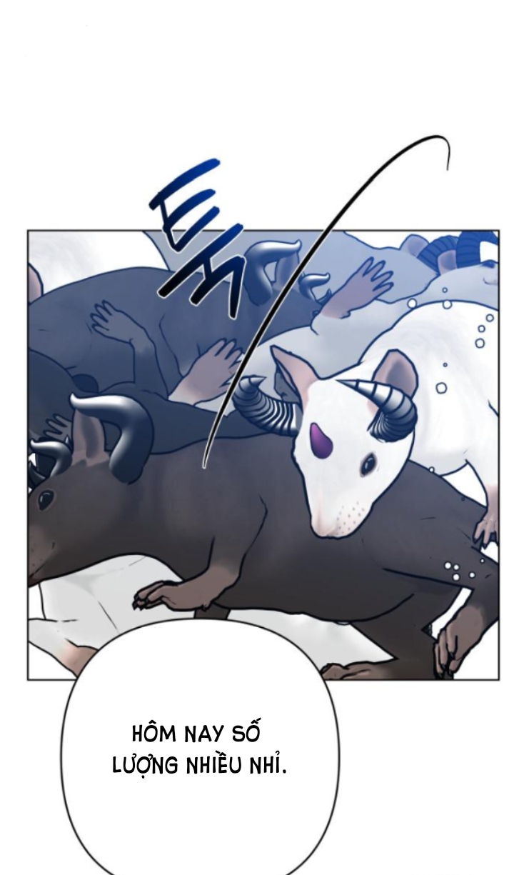 cách hiệp sĩ sống như một tiểu thư chapter 84.1 6