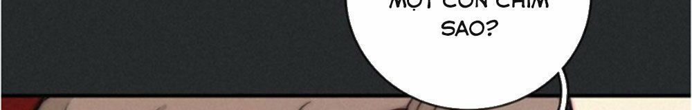 bí mật bóng đêm chapter 7.1 38