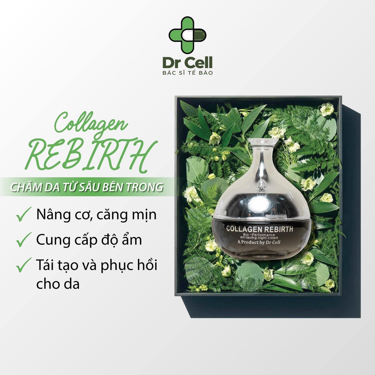 Kem Đêm Collagen Rebirth DR CELL 30g