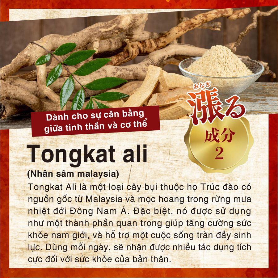 Mua 3 Tặng 1 Hộp Viên Uống Tăng Cường Sinh Lý, Sức Khỏe Nam Giới, Chiết Xuất Nhân Sâm, Hàu Biển, Baba Supomaca Genki Fami Nhật Bản