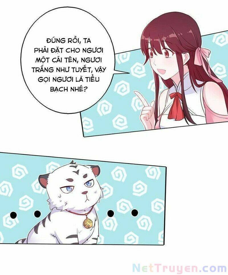 lầu trà thủy sinh mộng chapter 23 13