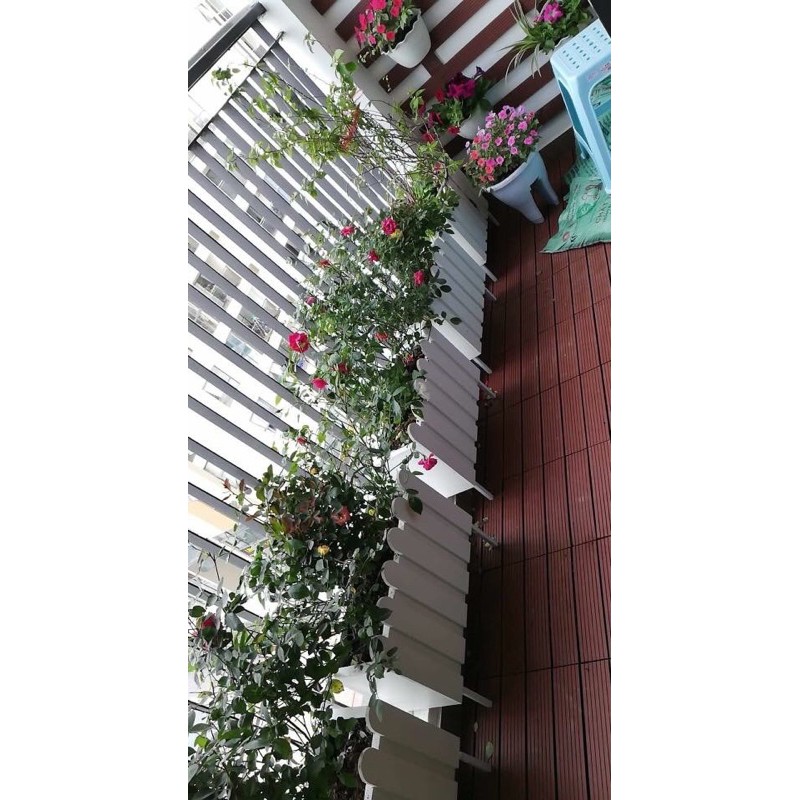 Chậu trồng cây nhựa composite viền hàng rào 50x25x25cm