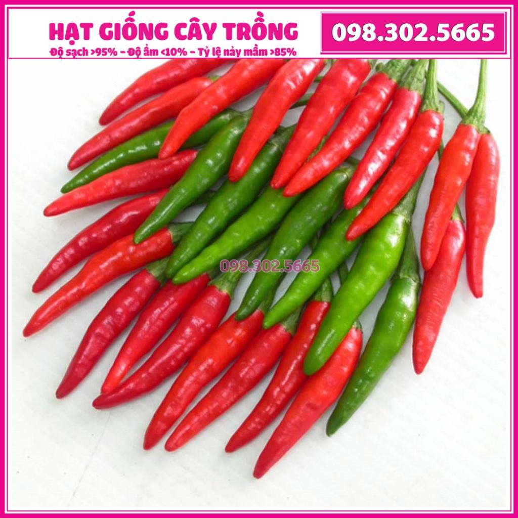 Hạt giống ớt chỉ thiên F1 cao sản - 0,5g - dễ trồng dễ chăm sóc