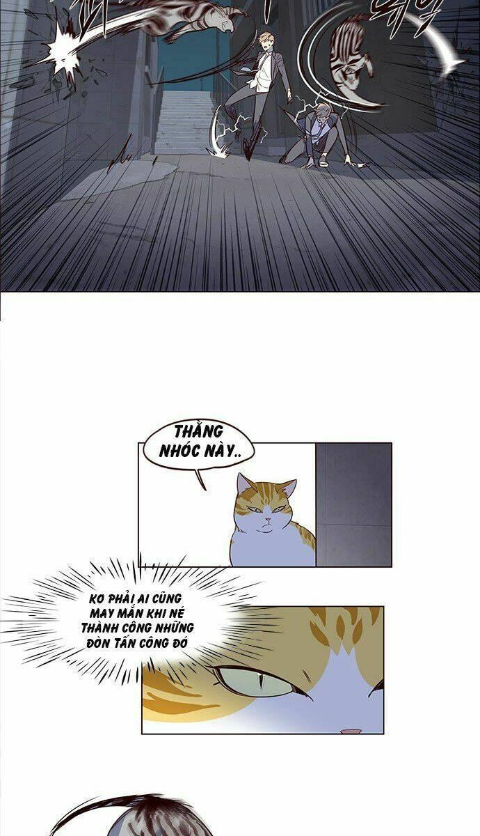 biến thân thành mèo chapter 3 38