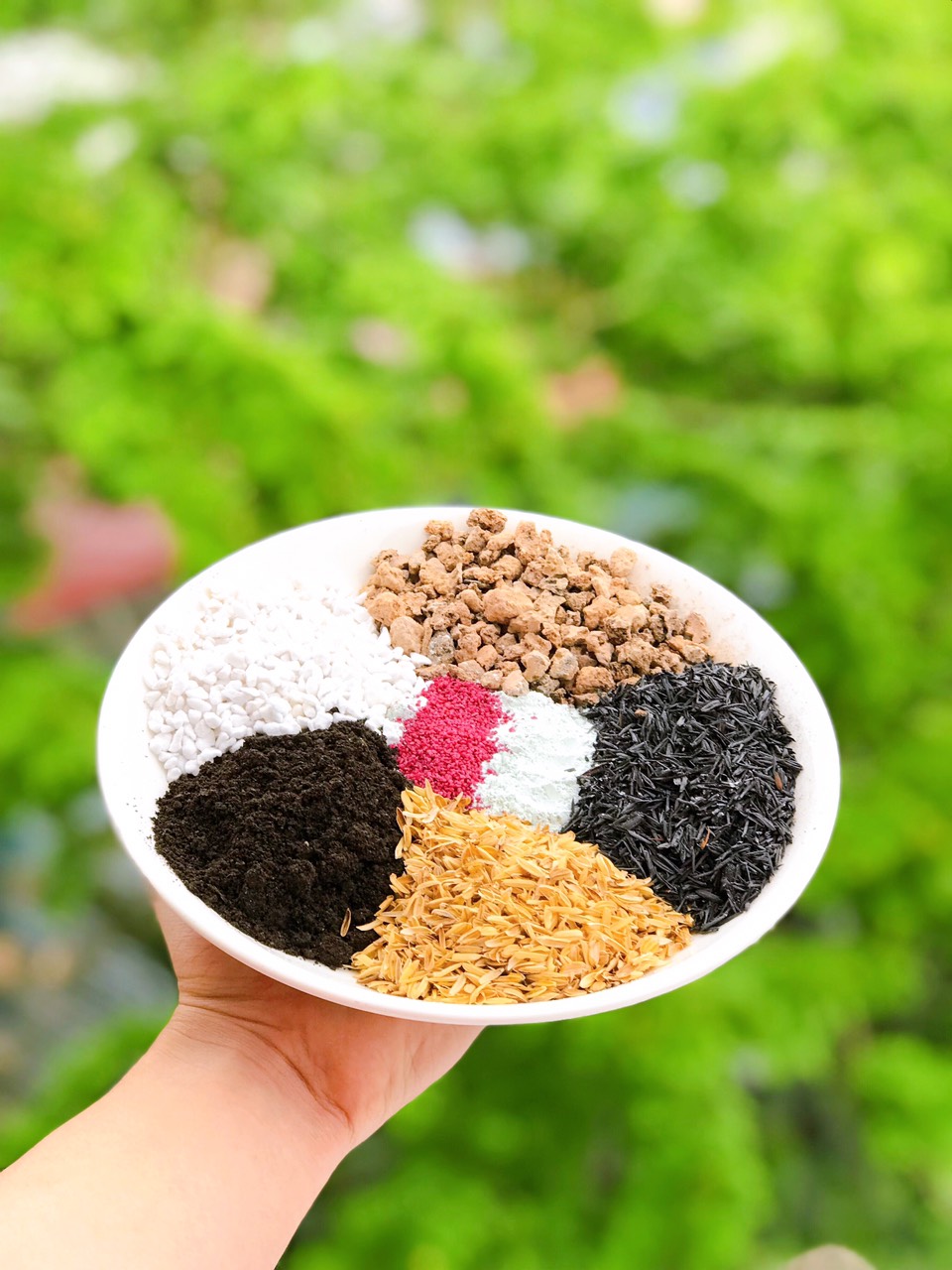 đất trồng sen đá , xương rồng khối lượng 1kg