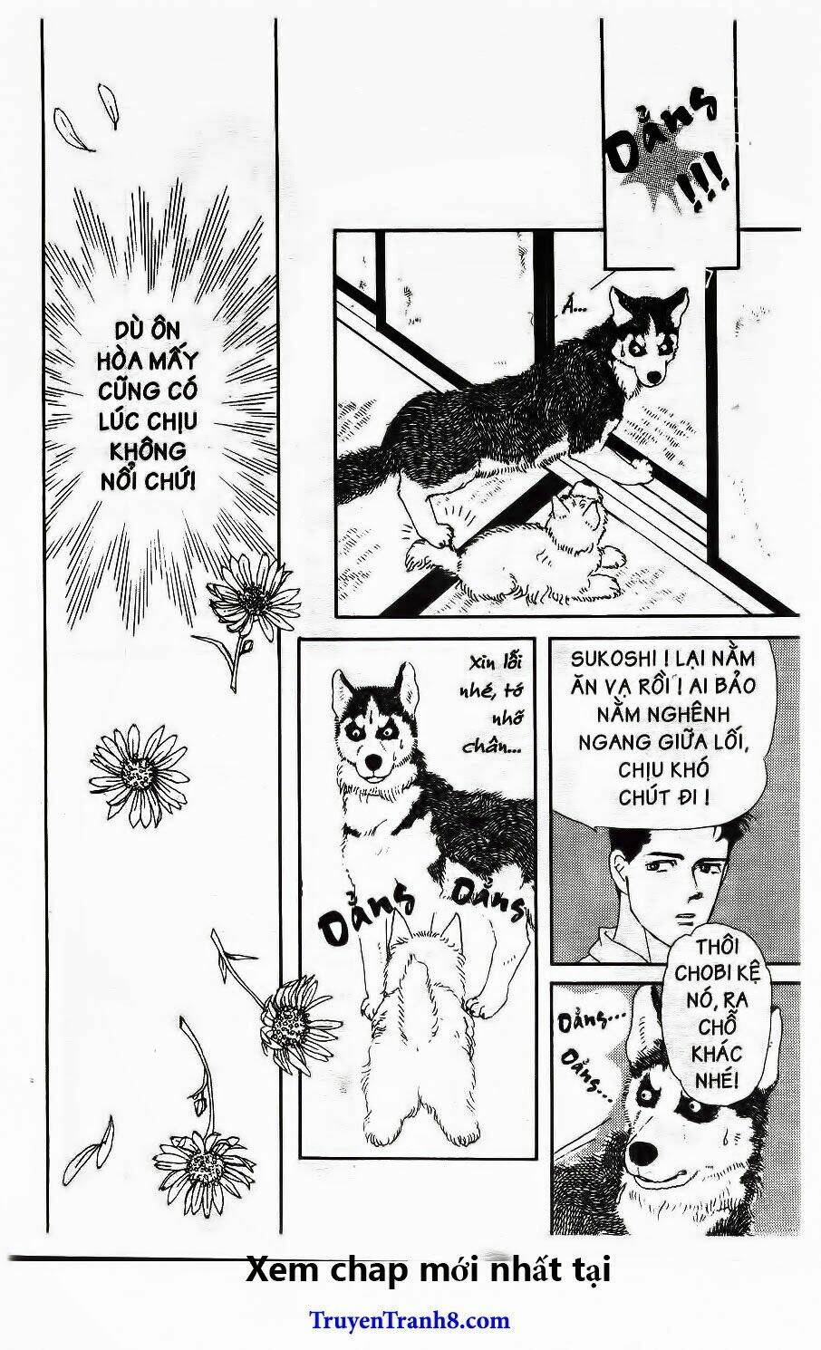 doubutsu no oishasan chapter 20 14