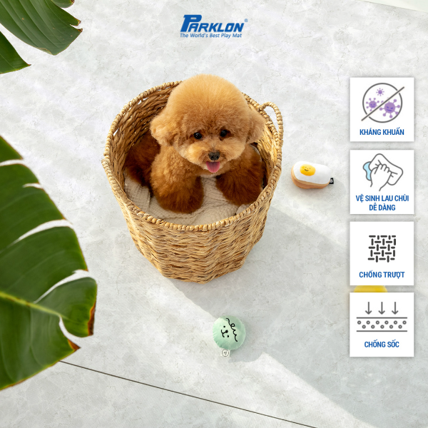 Thảm Thú Cưng Cao Cấp Parklon Hoa Văn Vân Đá Hoa Cương Vằn Chính Hãng Hàn Quốc cm Chống Bụi Kháng Khuẩn Khử Mùi Chống Ồn Chống Trượt Chống Sốc