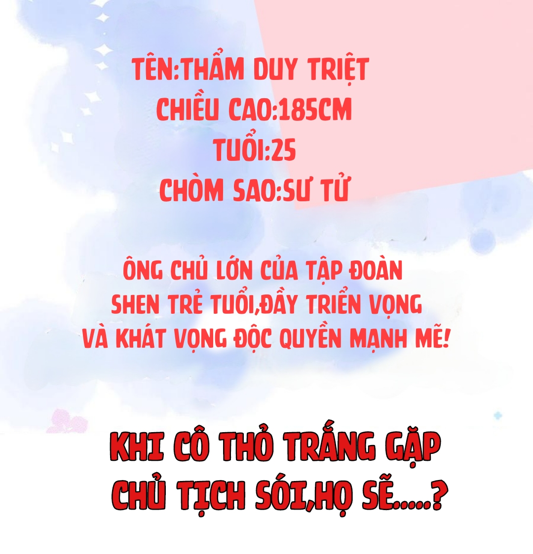 cô thỏ nhỏ của chủ tịch sói chapter 0.1 5