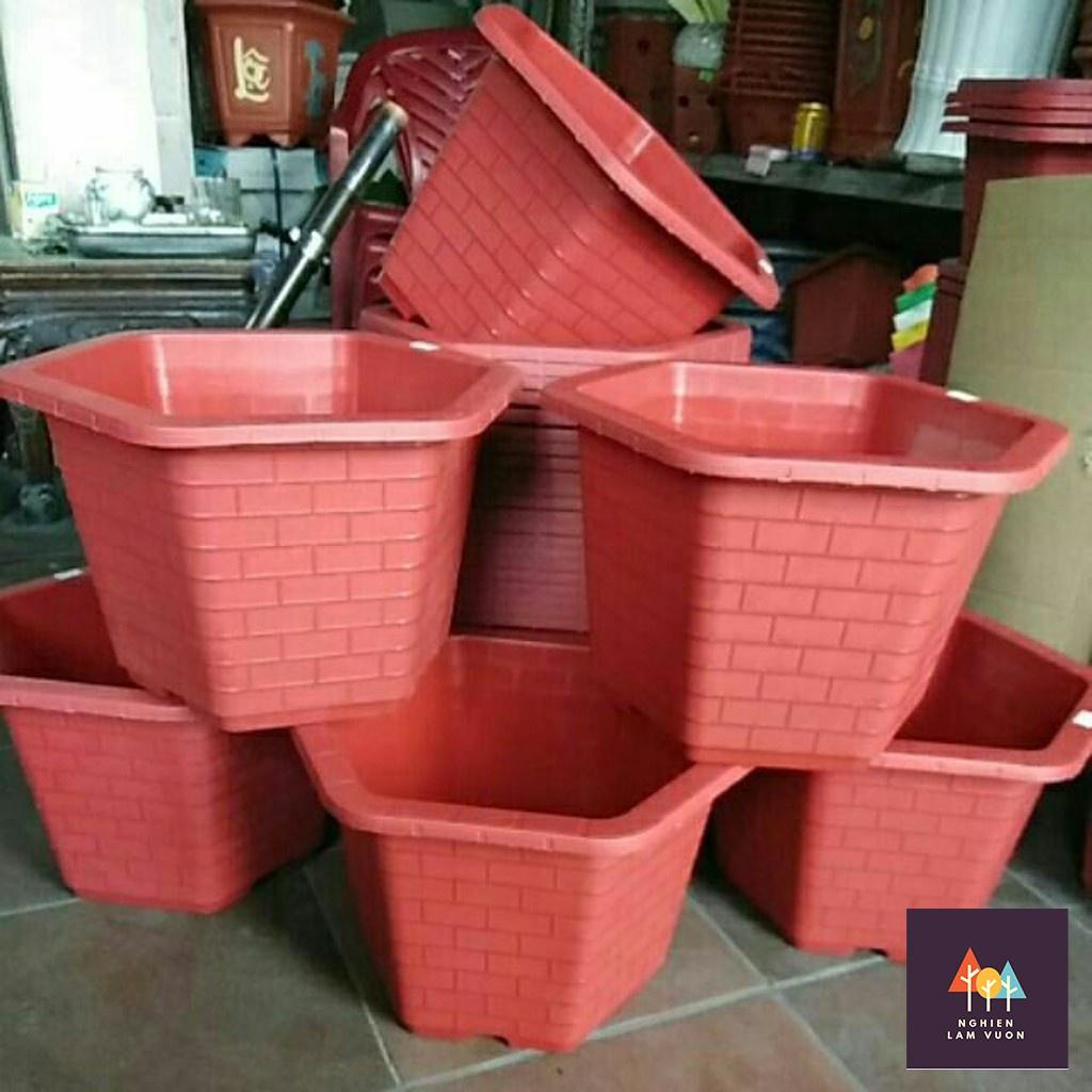 Compo 5 chậu lục giác FA 520