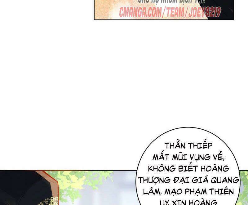 quận chúa vững vàng, thiết lập nhân vật không thể vỡ chapter 44 12