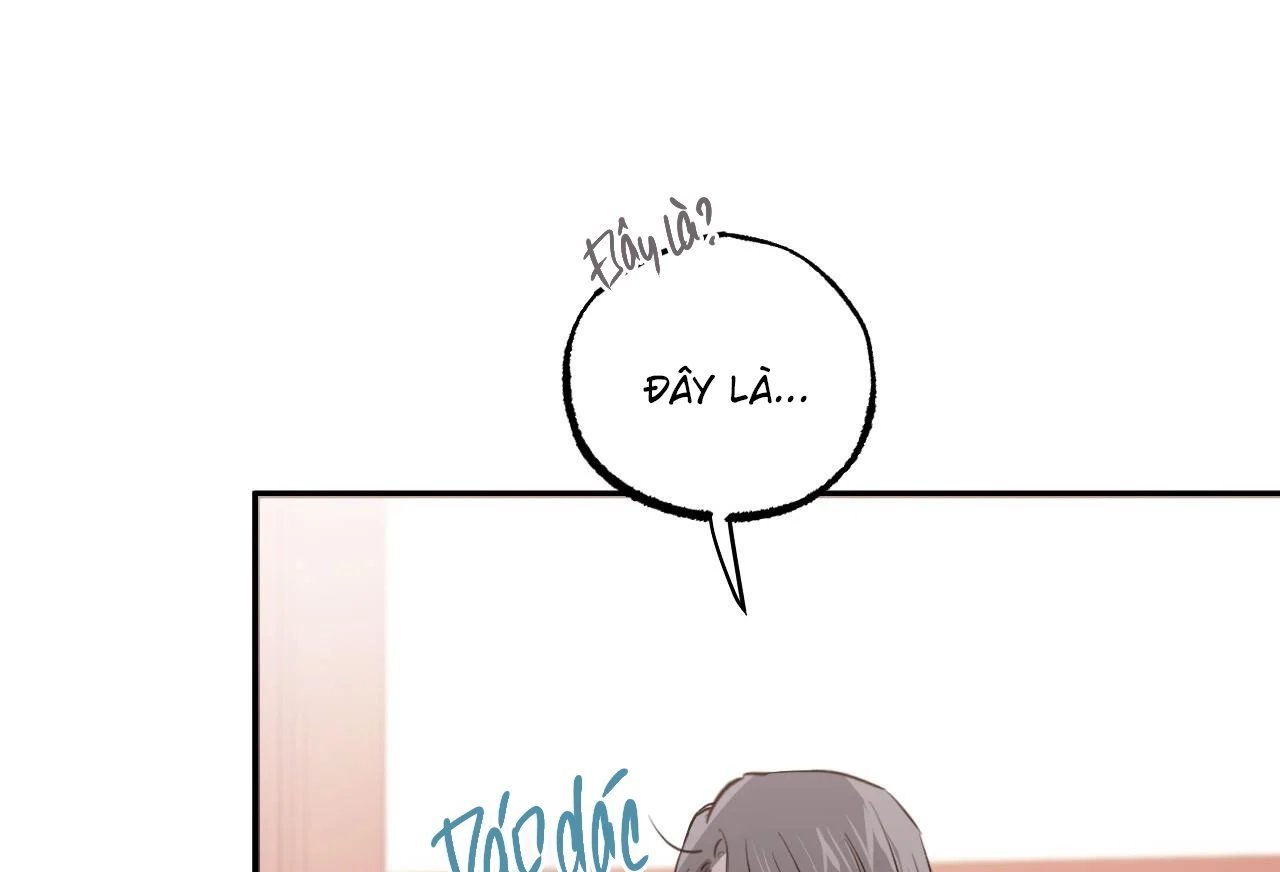 những chú thỏ của hapypy chapter 65 80