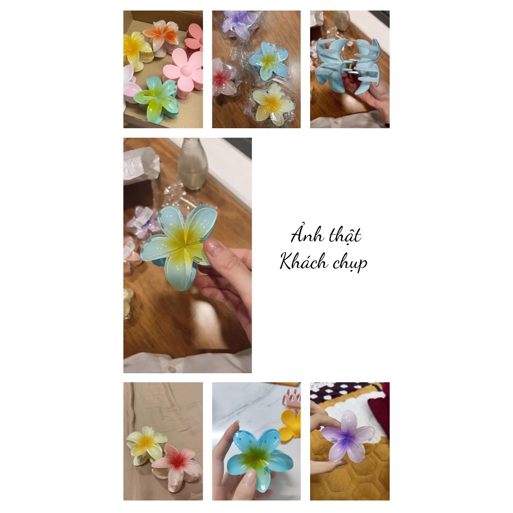 COMBO 2 Kẹp tóc hoa sứ mini 4cm