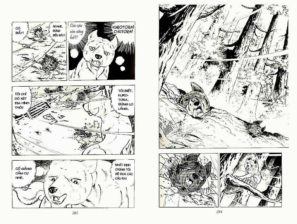 chú chó có nghĩa - ginga nagareboshi gin chapter 23 6