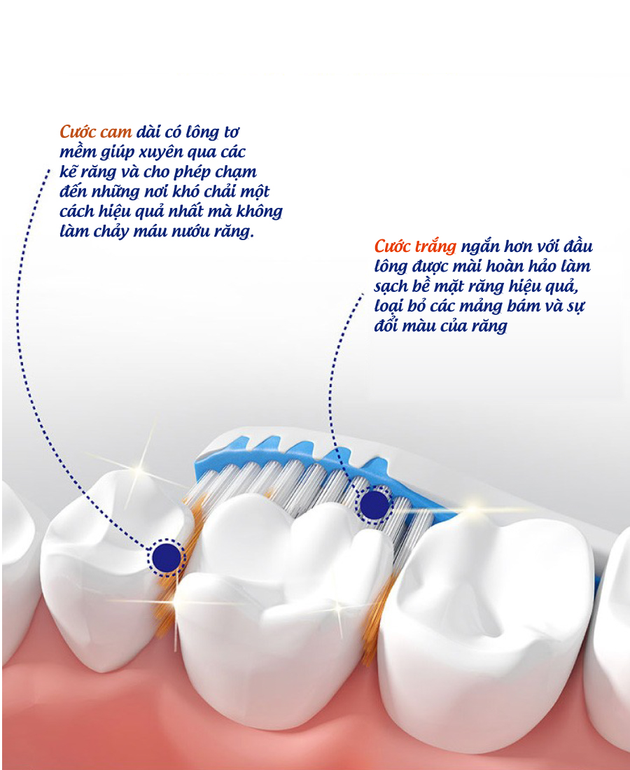 Bàn Chải Đánh Răng Trisa Pro Interdental