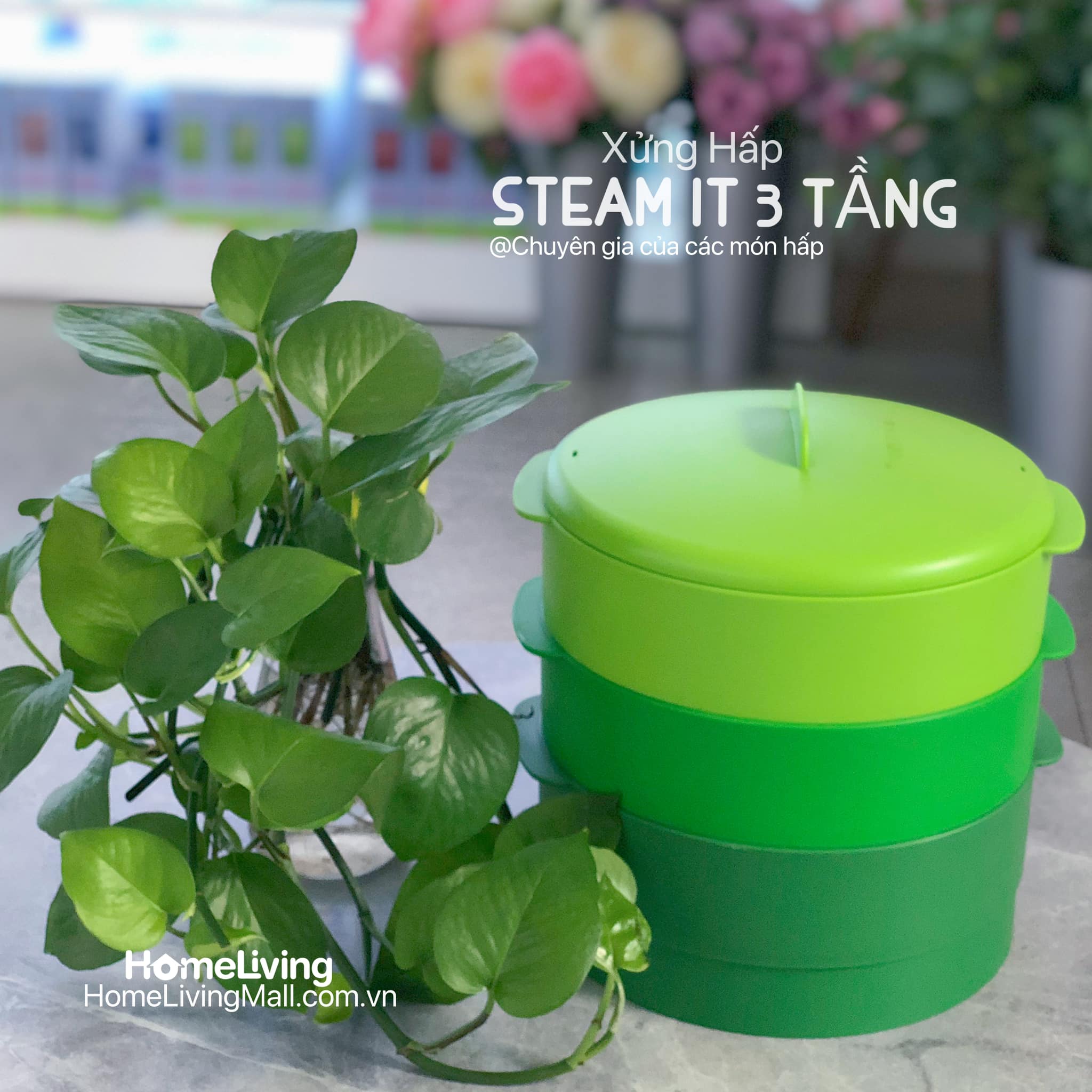 Xửng Hấp Tupperware 3 Tầng Steam It Xanh Lá