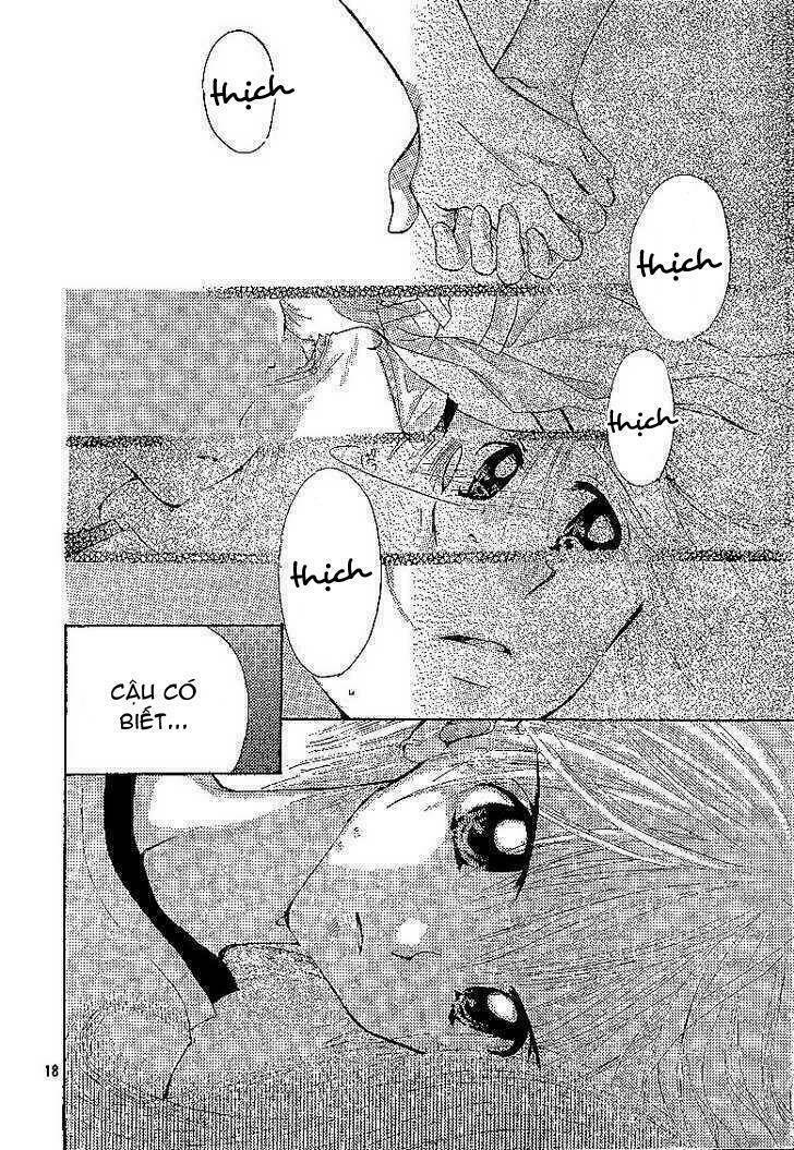 mermaid melody pichi pichi pitch chapter 2 17