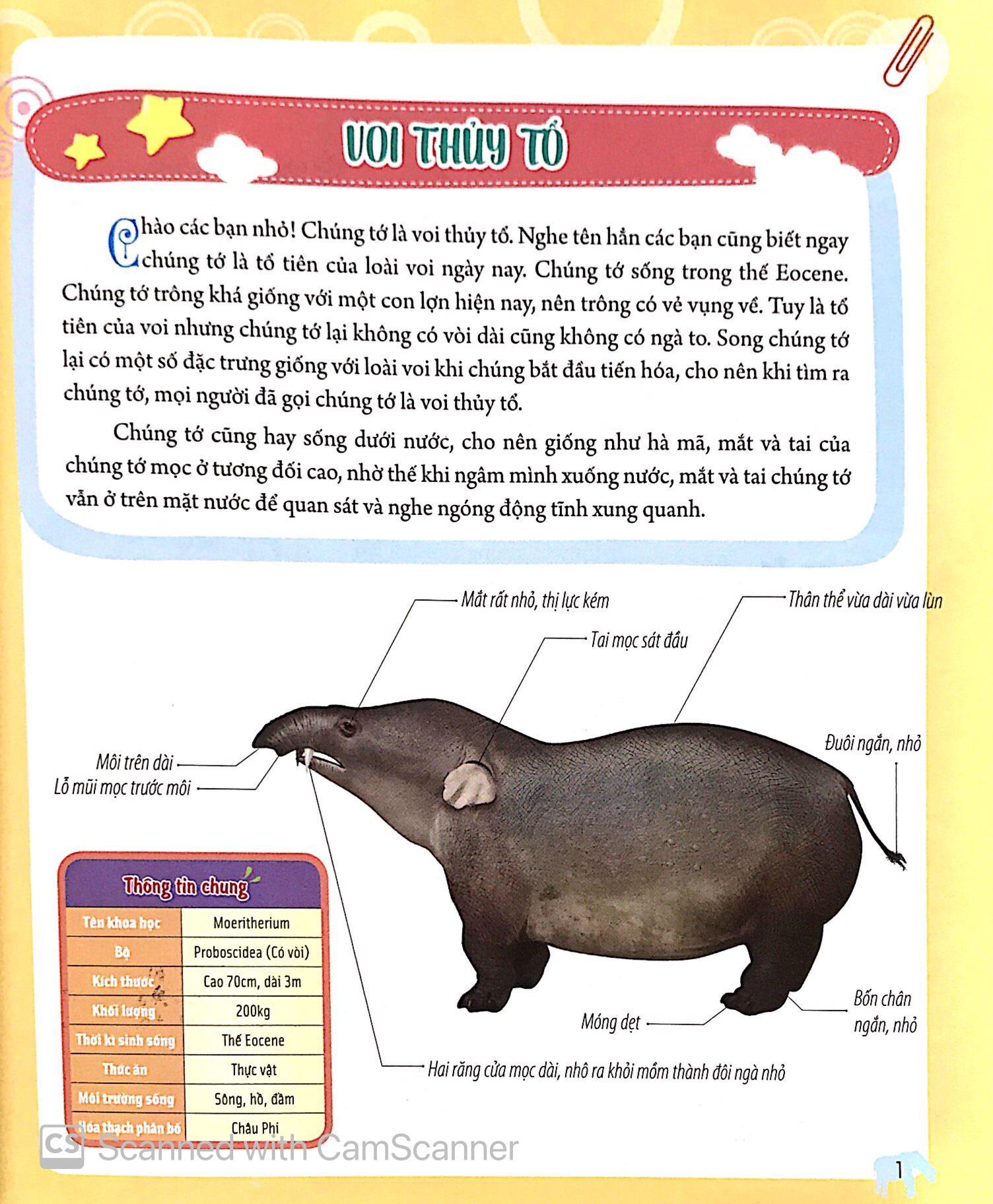 Bách Khoa Động Vật Dành Cho Trẻ Nhỏ - Động Vật Tiền Sử