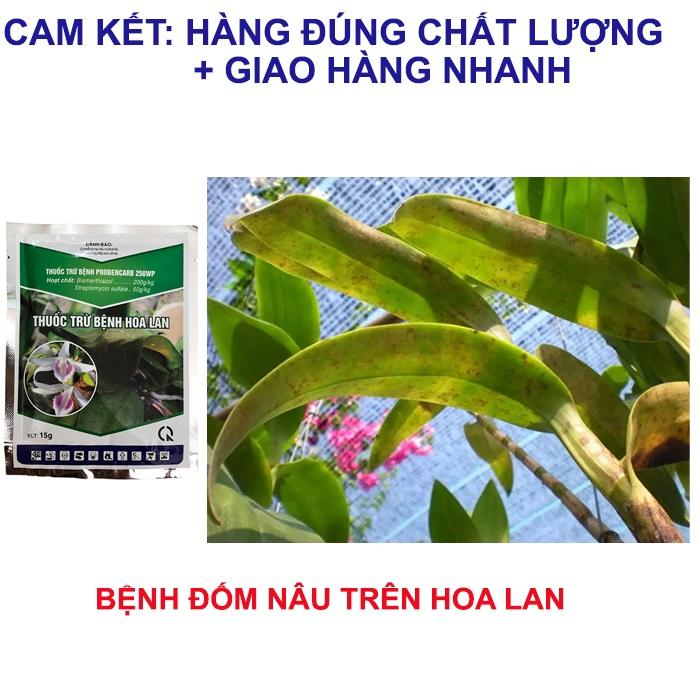 Chế phẩm trừ nấm bệnh hoa lan 15g, trừ bệnh thối nhũn, đốm lá, đen thân, đốm nâu trên hoa lan