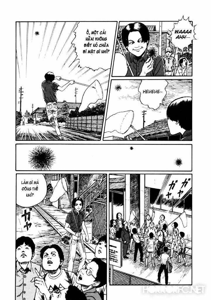 tuyển tập truyện ngắn kinh dị của ito junji chapter 14.4 30