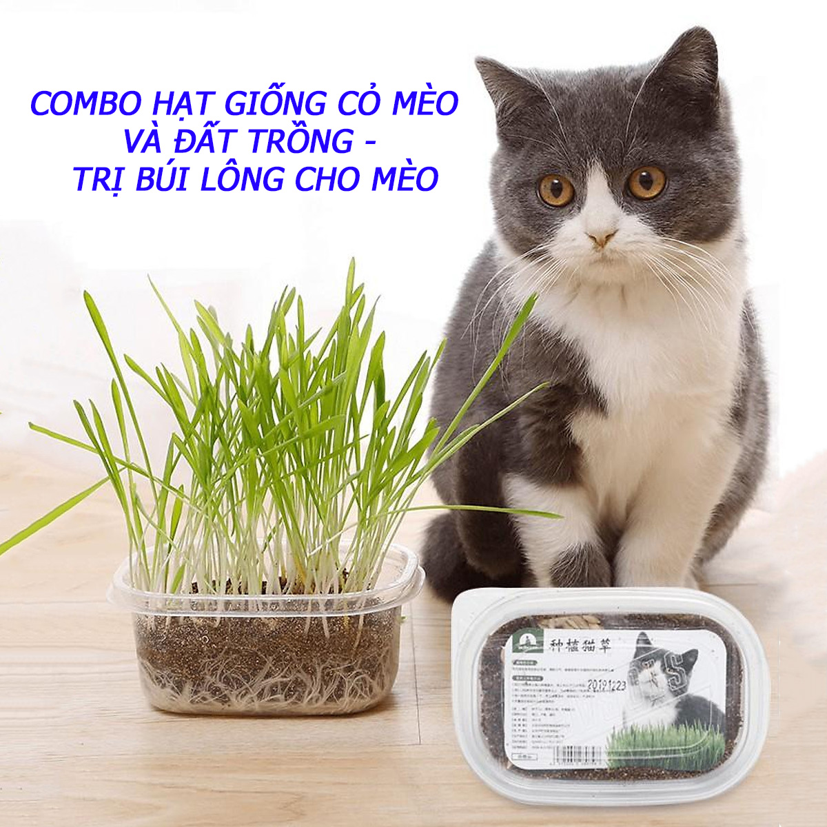 Combo Hạt Giống Cỏ Mèo Và Đất Trồng Cỏ Trị Búi Lông Cho Mèo