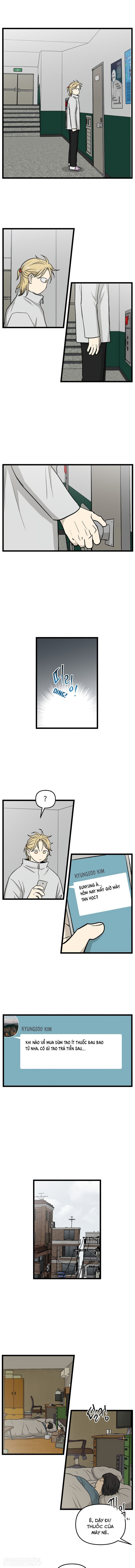 no home - không nhà chapter 221 4