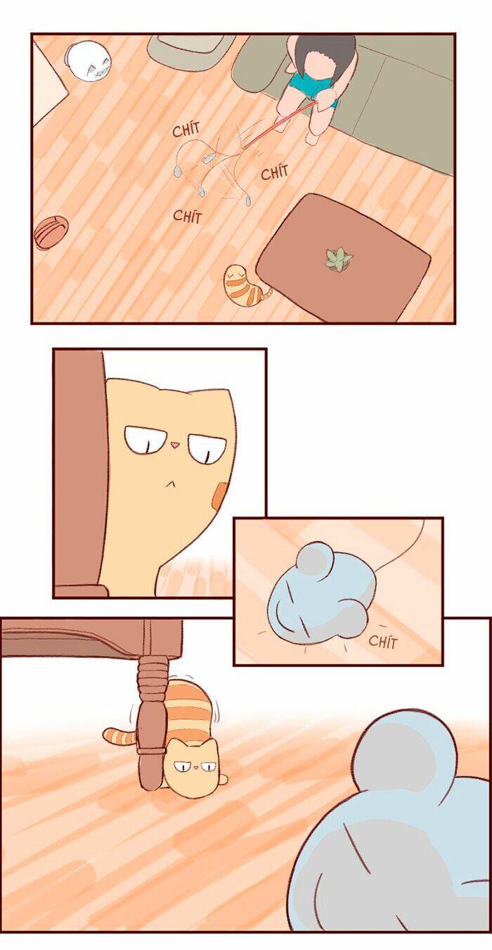 saphie: chú mèo một mắt chapter 3 2