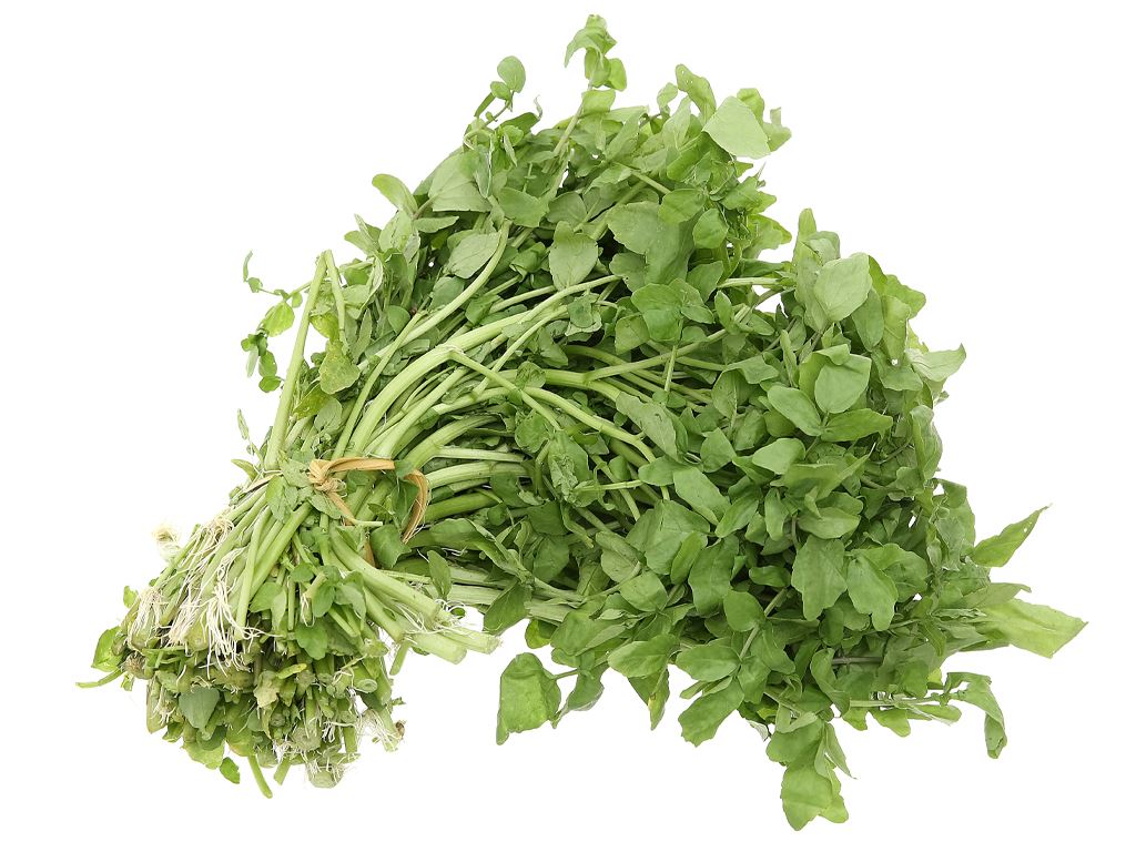 Hạt Giống Rau Cải Xoong Giàu Dinh Dưỡng