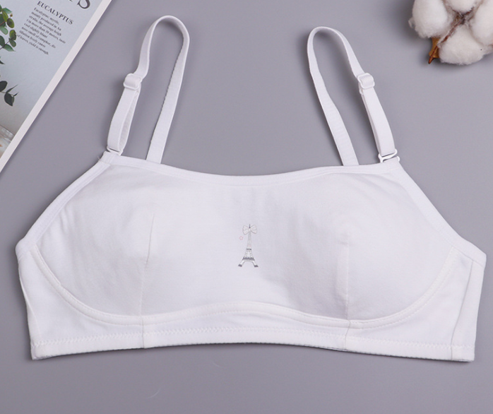 Bra / Áo Lá Nữ Sinh Cotton Hình Tháp Xuất Đông Âu Hàng Loại Đẹp.