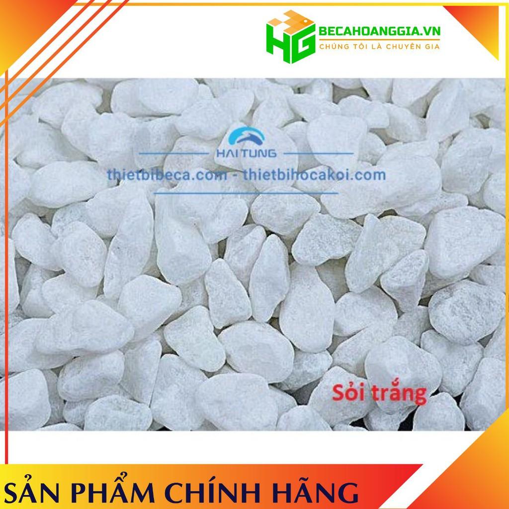 Sỏi trang trí bể cá, gốc cây