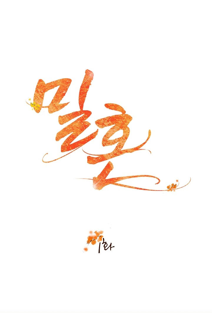 Hôn Nhân Bí Mật chapter 1.1 - Trang 15