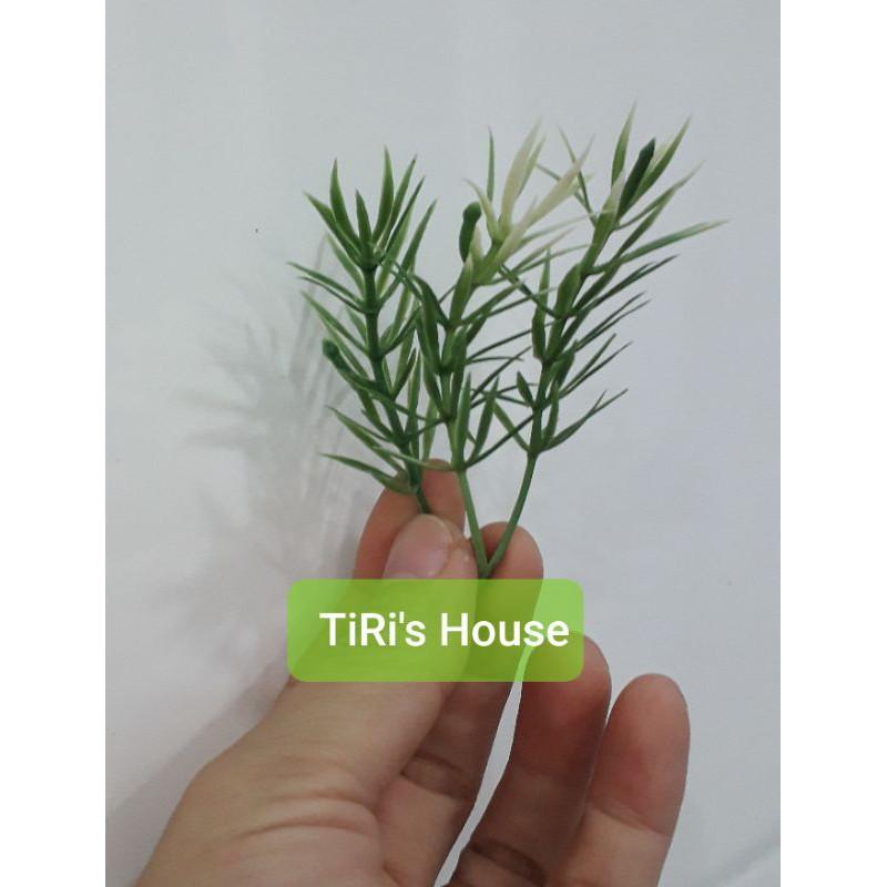 100gr Cỏ điểm ký trộn mẫu hoặc 1 mẫu