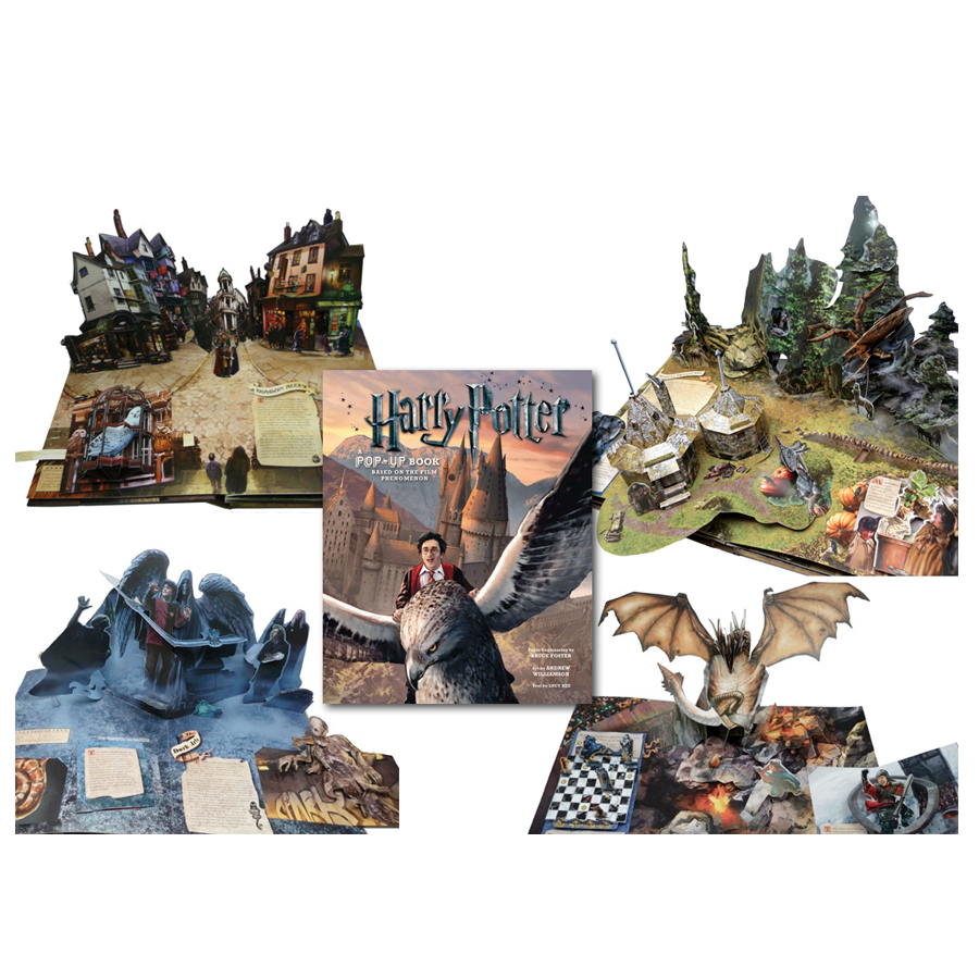 Harry Potter: A Pop-Up Book: Based On The Film Phenomenon (Bản Thông Thường) (English Book)