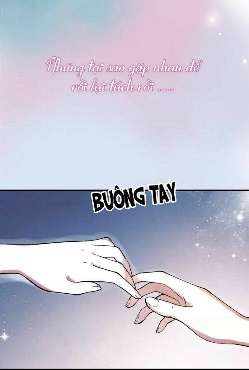 cậu đã từng yêu tôi 2 chapter 0 16